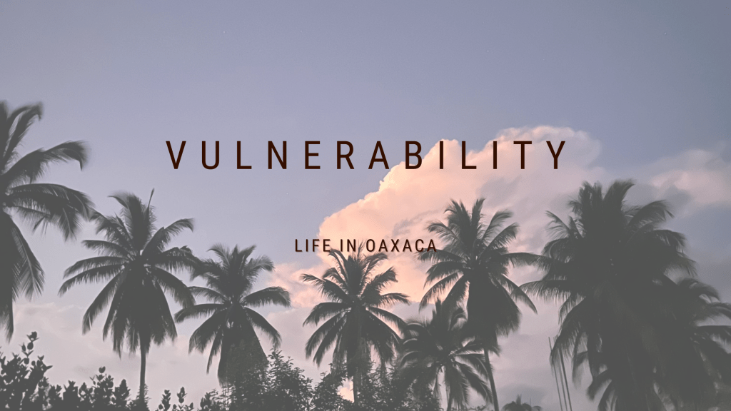 Living in OAX:&nbsp;Vulnerability